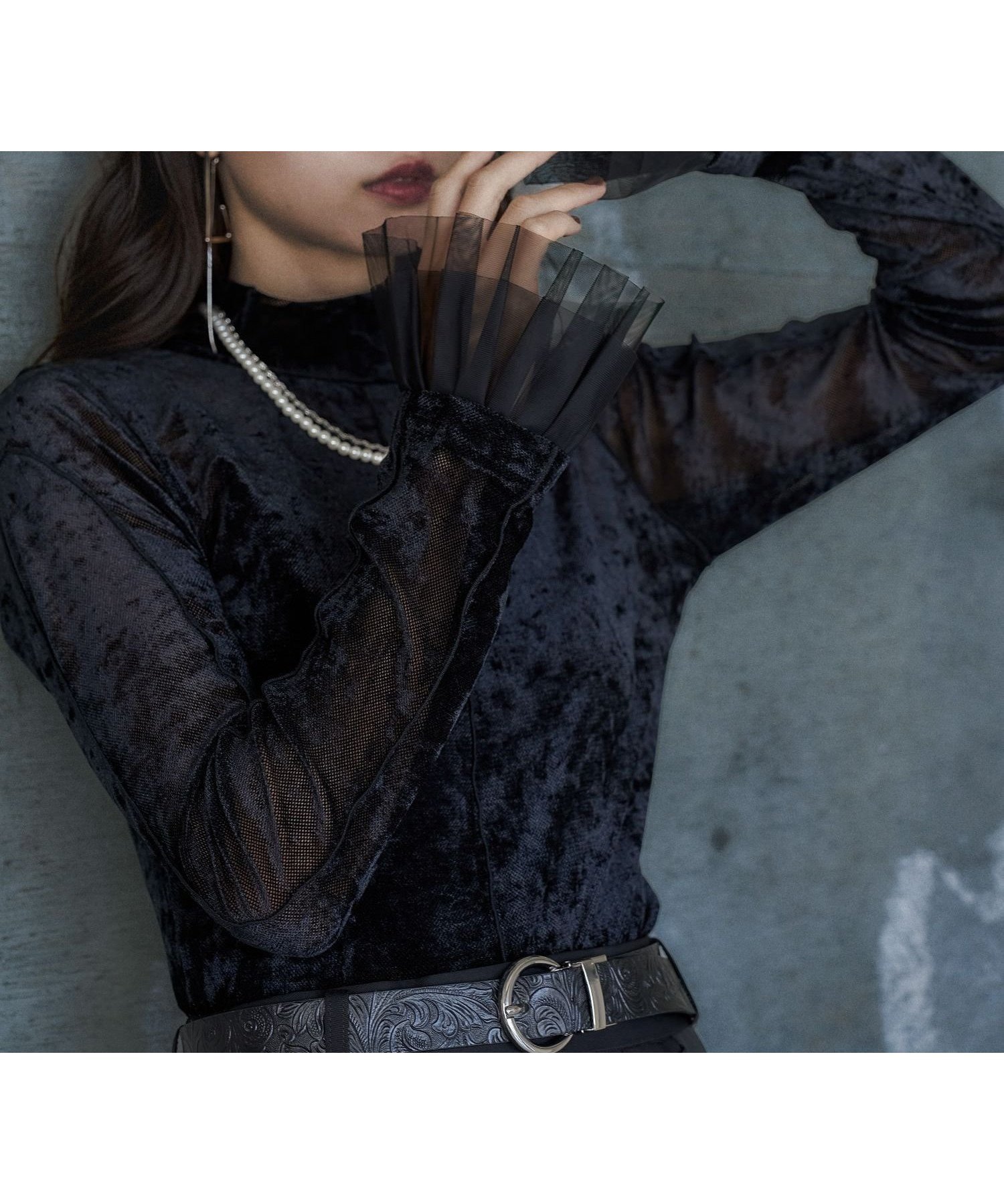 【ハレ/HARE】のシアーベロアハイネックトップス インテリア・キッズ・メンズ・レディースファッション・服の通販 founy(ファニー) 　ファッション　Fashion　レディースファッション　Fashion for Women　トップス・カットソー　Cut & Sew Tops　ベロアトップス　Velour Tops / Velvet-Look Items　おすすめ　Recommended / Our Picks　ウェーブ　Wavy Pattern　カーディガン　Cardigan, Knitwear　シアー　Sheer, See-Through　ショート　Short, Short Length　シンプル　Simple, Minimal　ジャケット　Jacket, Outerwear　ストレート　Straight, Straight Cut　チュール　Tulip, Tulip Motif　ハイネック　High Neck, Mock Neck　フリル　Frill, Ruffle　ベロア　Velour, Soft Velvet　ロング　Long, Long-Length　ワイド　Wide, Wide Fit　冬　Winter / This Winter　ブラック09|ID: prp329100004741300 ipo3291000000034733009