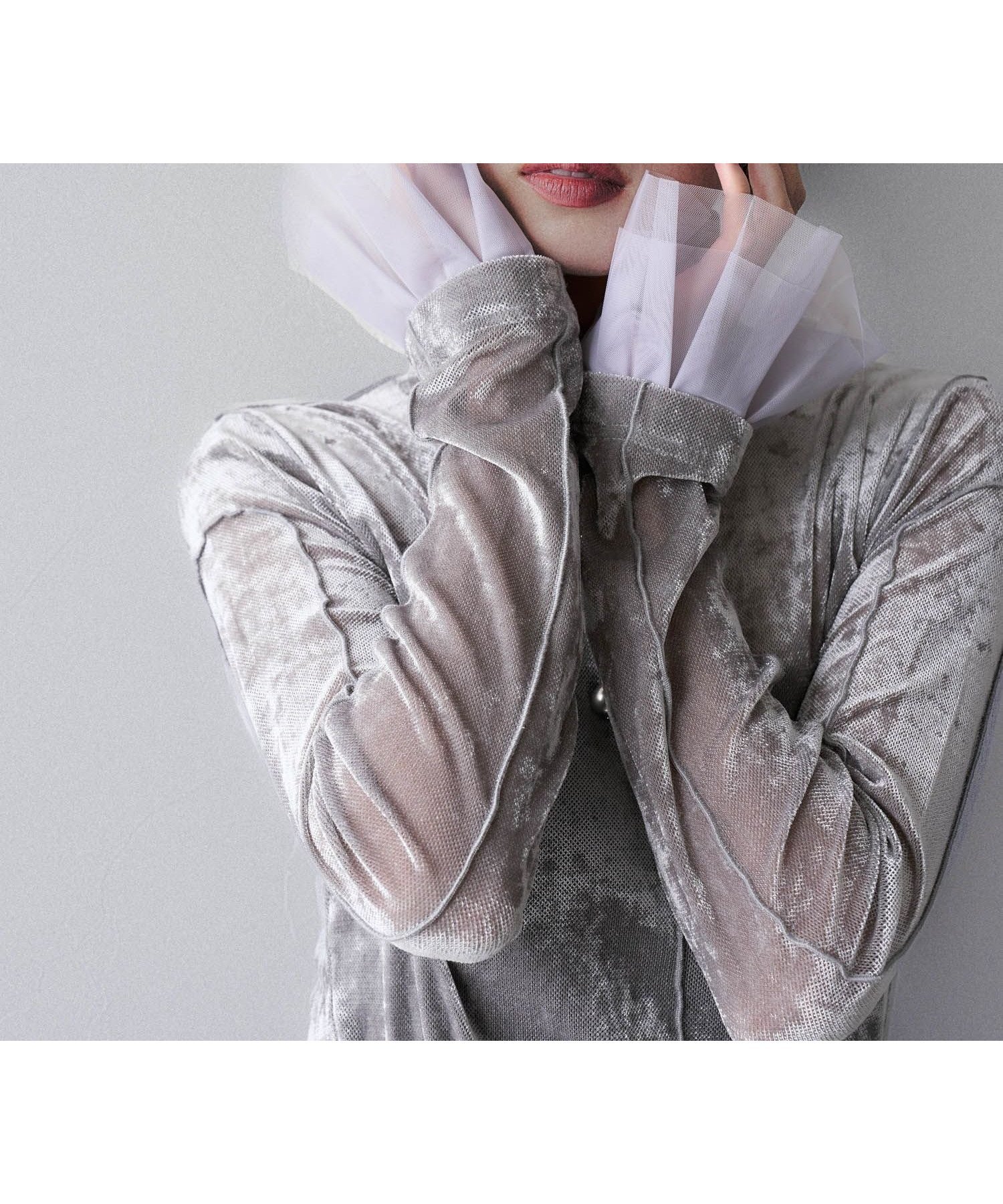 【ハレ/HARE】のシアーベロアハイネックトップス インテリア・キッズ・メンズ・レディースファッション・服の通販 founy(ファニー) 　ファッション　Fashion　レディースファッション　Fashion for Women　トップス・カットソー　Cut & Sew Tops　ベロアトップス　Velour Tops / Velvet-Look Items　おすすめ　Recommended / Our Picks　ウェーブ　Wavy Pattern　カーディガン　Cardigan, Knitwear　シアー　Sheer, See-Through　ショート　Short, Short Length　シンプル　Simple, Minimal　ジャケット　Jacket, Outerwear　ストレート　Straight, Straight Cut　チュール　Tulip, Tulip Motif　ハイネック　High Neck, Mock Neck　フリル　Frill, Ruffle　ベロア　Velour, Soft Velvet　ロング　Long, Long-Length　ワイド　Wide, Wide Fit　冬　Winter / This Winter　グレー10|ID: prp329100004741300 ipo3291000000034733011