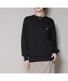 【ナノ ユニバース/nano universe】のChampion/CREW NECK SWEATSHIRT 人気、トレンドファッション・服の通販 founy(ファニー) ファッション Fashion レディースファッション Fashion for Women トップス・カットソー Cut & Sew Tops シャツ・ブラウス・オフィスカジュアル Elegant Blouses & Button-Ups レディースパーカー・カジュアルフーディー Casual Hoodies & Sweatshirts ロングTシャツ・Tシャツ Longline T-Shirts & Tees スウェット・クルーネックトップス Sweatshirts & Crewnecks / Relaxed Fit Sweat Tops アンダー Underwear Essentials スウェット / スエット Sweatshirt, Sweatwear セーター Sweater, Knitwear ニューヨーク New York, NYC Style プリント Print, Printed Pattern 2025年 2025 2025-2026秋冬・A/W Autumn/Winter 2025–26 AW25–26 thumbnail ブラック|ID: prp329100004742773 ipo3291000000034272760