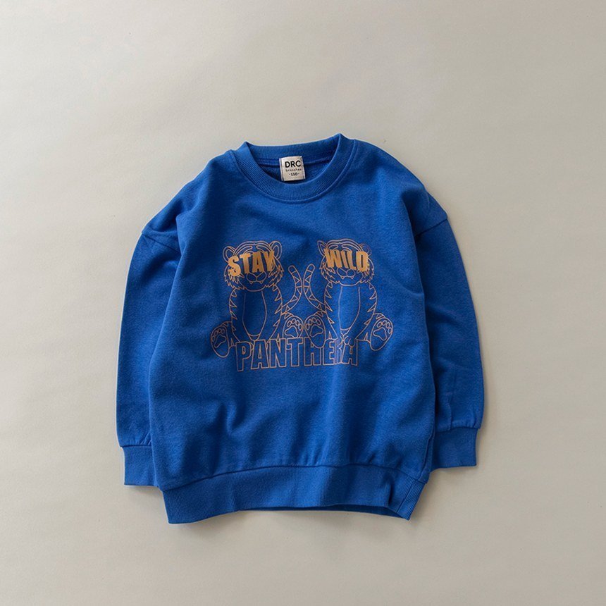 【ブランシェス/branshes / KIDS】の【DRC】アソートグラフィック裏毛BIGトレーナー インテリア・キッズ・メンズ・レディースファッション・服の通販 founy(ファニー) 　ファッション　Fashion　キッズファッション　Fashion for Kids　トレーナー　Sweatshirt, Trainer　ビッグ　Big, Oversized　ボーイズ　Boyish, Boy Style　A/W・秋冬　Autumn/Winter　プチプライス・低価格　Affordable / Budget Price　おすすめ　Recommended / Our Picks　25_ロイヤルブルー|ID: prp329100004744538 ipo3291000000034625132