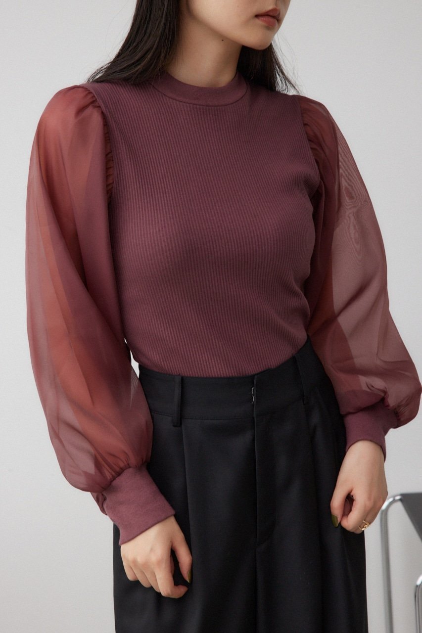 【アズール バイ マウジー/AZUL by moussy】の袖シアー長袖リブトップス インテリア・キッズ・メンズ・レディースファッション・服の通販 founy(ファニー) 　ファッション　Fashion　レディースファッション　Fashion for Women　トップス・カットソー　Cut & Sew Tops　2024年　2024　2024-2025秋冬・A/W　Autumn/Winter 2024–25 AW24–25　おすすめ　Recommended / Our Picks　インナー　Innerwear　オーガンジー　Organza Fabric　シアー　Sheer, See-Through　トレンド　Trend, Trending Now　バランス　Balance, Style Balance　ワイド　Wide, Wide Fit　定番　Standard, Basic Item　A/W・秋冬　Autumn/Winter　長袖　Long Sleeve, Full Sleeve　BRD|ID: prp329100004744960 ipo3291000000034299176