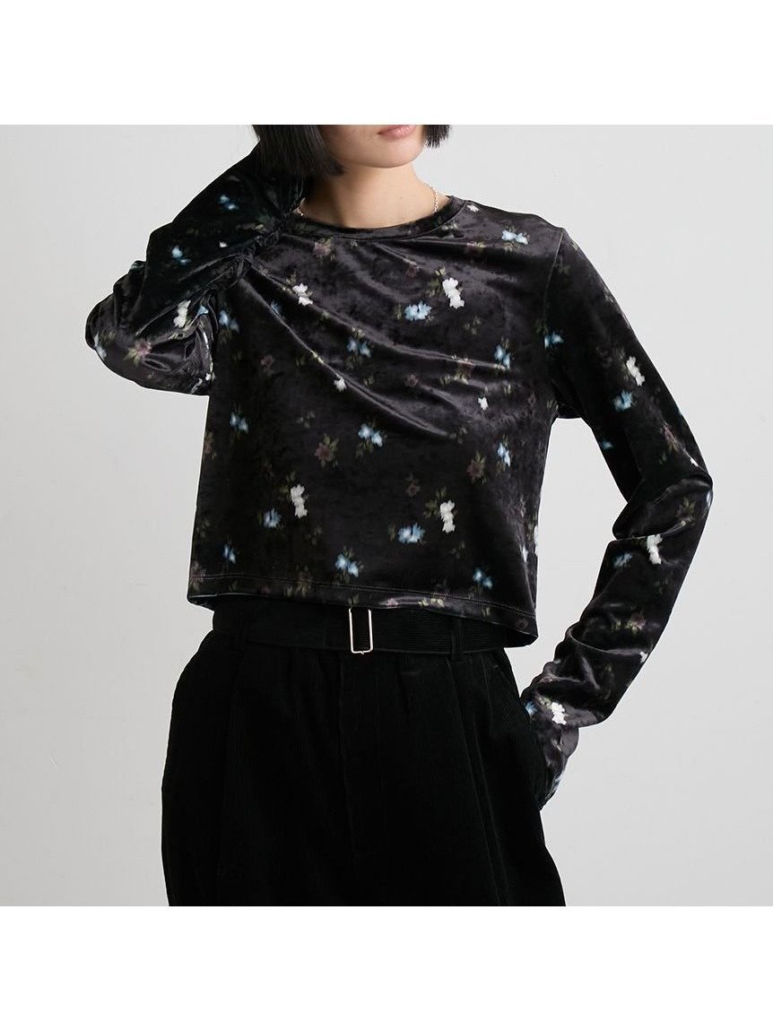 【ミースロエ/MIESROHE】の短丈ベロアトップス インテリア・キッズ・メンズ・レディースファッション・服の通販 founy(ファニー) 　ファッション　Fashion　レディースファッション　Fashion for Women　トップス・カットソー　Cut & Sew Tops　ベロアトップス　Velour Tops / Velvet-Look Items　おすすめ　Recommended / Our Picks　キャミワンピース　Cami Dress, Slip Dress　ギャザー　Gathered, Ruffled　クラッシュ　Distressed, Crashed Style　コンパクト　Compact, Small Size　スマート　Smart, Elegant　セットアップ　Set-Up, Coordinated Outfit　バランス　Balance, Style Balance　プリント　Print, Printed Pattern　ベロア　Velour, Soft Velvet　人気　Popular, Best Seller　無地　Plain, Solid Color　BLK[009]|ID: prp329100004753204 ipo3291000000034379694