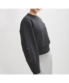 【アダム エ ロペ/ADAM ET ROPE'】の【サステナブル】フォルムスリーブスウェット 人気、トレンドファッション・服の通販 founy(ファニー) ファッション Fashion レディースファッション Fashion for Women トップス・カットソー Cut & Sew Tops レディースパーカー・カジュアルフーディー Casual Hoodies & Sweatshirts スウェット・クルーネックトップス Sweatshirts & Crewnecks / Relaxed Fit Sweat Tops 秋 Autumn カットソー Cut and Sewn Top スウェット / スエット Sweatshirt, Sweatwear パターン Pattern, Design Print フォルム Silhouette, Form ボトム Bottoms, Lower Wear リラックス Relax, Relaxed Fit レース Lace, Lace Fabric ロング Long, Long-Length おすすめ Recommended / Our Picks エレガント 上品 Elegant 2025年 2025 2025-2026秋冬・A/W Autumn/Winter 2025–26 AW25–26 |ID:prp329100004753837