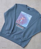 【コーエン/COEN】の『FANTASIA(ファンタジア)』ヴィンテージライクスウェット 人気、トレンドファッション・服の通販 founy(ファニー) ファッション Fashion レディースファッション Fashion for Women トップス・カットソー Cut & Sew Tops レディースパーカー・カジュアルフーディー Casual Hoodies & Sweatshirts スウェット・クルーネックトップス Sweatshirts & Crewnecks / Relaxed Fit Sweat Tops おすすめ Recommended / Our Picks スウェット / スエット Sweatshirt, Sweatwear プリント Print, Printed Pattern リラックス Relax, Relaxed Fit thumbnail ROYAL|ID: prp329100004755044 ipo3291000000034516622