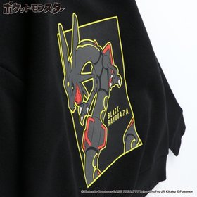 【ブランシェス/branshes / KIDS】の【ポケットモンスター(ポケモン)】裏起毛トレーナー 人気、トレンドファッション・服の通販 founy(ファニー) ファッション Fashion キッズファッション Fashion for Kids おすすめ Recommended / Our Picks トレーナー Sweatshirt, Trainer プリント Print, Printed Pattern ポケット Pocket, Pocket Detail |ID:prp329100004755329