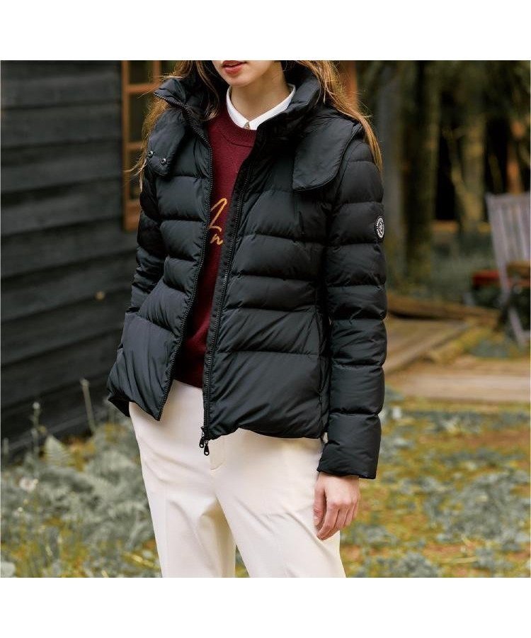 【ドレステリア/DRESSTERIOR】のホワイトグースライトダウン 人気、トレンドファッション・服の通販 founy(ファニー) 　ファッション　Fashion　レディースファッション　Fashion for Women　エレガント 上品　Elegant　グラデーション　Gradient, Ombre　コンパクト　Compact, Small Size　シェイプ　Shape, Slim Fit　スマート　Smart, Elegant　ダウン　Down, Puffer　ドレープ　Drape, Draping Fabric　定番　Standard, Basic Item　ミドル　Middle Length, Mid Height　冬　Winter / This Winter　 other-1|ID: prp329100004755974 ipo3291000000034560830