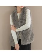 【コカ/COCA】のファーベスト 人気、トレンドファッション・服の通販 founy(ファニー) ファッション Fashion レディースファッション Fashion for Women アウター Coat / Outerwear Collection トップス・カットソー Cut & Sew Tops ベスト&ジレ / 重ね着スタイル Vests & Gilets カットソー Cut and Sewn Top シンプル Simple, Minimal スキニー Skinny, Slim Fit タートルネック Turtleneck, High Neck トレンド Trend, Trending Now ノースリーブ Sleeveless, No-Sleeve フェイクファー Faux Fur, Imitation Fur ベスト Vest, Waistcoat ポケット Pocket, Pocket Detail 羽織 Haori, Light Jacket 無地 Plain, Solid Color A/W・秋冬 Autumn/Winter エレガント 上品 Elegant 2025年 2025 2025-2026秋冬・A/W Autumn/Winter 2025–26 AW25–26 thumbnail Greige|ID: prp329100004758446 ipo3291000000034482383