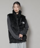【ナノ ユニバース/nano universe】のTHE NORTH FACE/Versa Loft Vest 人気、トレンドファッション・服の通販 founy(ファニー) ファッション Fashion レディースファッション Fashion for Women アウター Coat / Outerwear Collection トップス・カットソー Cut & Sew Tops ベスト&ジレ / 重ね着スタイル Vests & Gilets アウトドア Outdoor Clothing カットソー Cut and Sewn Top カリフォルニア California, Cali Style スウェット / スエット Sweatshirt, Sweatwear スタンド Stand Collar, Upright Stand ベスト Vest, Waistcoat ベーシック Basic, Essential ポケット Pocket, Pocket Detail 防寒 Cold Protection, Winter-Ready ランニング Running, Running Wear, Activewear, Jogging ロング Long, Long-Length 冬 Winter / This Winter A/W・秋冬 Autumn/Winter 2025年 2025 2025-2026秋冬・A/W Autumn/Winter 2025–26 AW25–26 thumbnail ブラック|ID: prp329100004758859 ipo3291000000034432797
