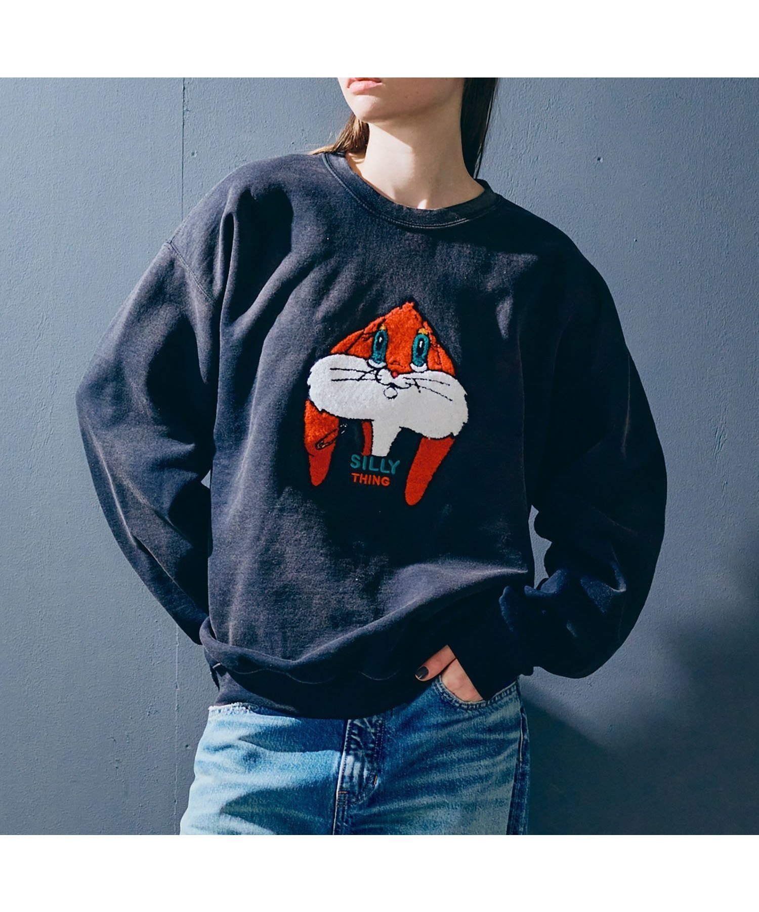 【アールエヌエー/RNA】のM2360 ユーズドエフェクトラビットトレーナー インテリア・キッズ・メンズ・レディースファッション・服の通販 founy(ファニー) 　ファッション　Fashion　レディースファッション　Fashion for Women　スウェット / スエット　Sweatshirt, Sweatwear　フロント　Front, Front Design　モコモコ　Fuzzy, Fluffy　ヴィンテージ　Vintage Style　ブラック|ID: prp329100004759393 ipo3291000000035049865