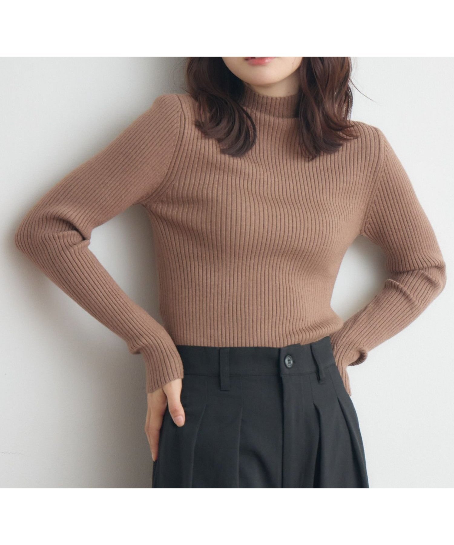 【レトロガール/RETRO GIRL】の【WEB限定カラー追加】リブハイネックニット インテリア・キッズ・メンズ・レディースファッション・服の通販 founy(ファニー) 　ファッション　Fashion　レディースファッション　Fashion for Women　トップス・カットソー　Cut & Sew Tops　ニット　Knit Tops & Sweaters　おすすめ　Recommended / Our Picks　インナー　Innerwear　カラフル　Colorful Design　シンプル　Simple, Minimal　タートルネック　Turtleneck, High Neck　トレンド　Trend, Trending Now　ハイネック　High Neck, Mock Neck　プチプライス・低価格　Affordable / Budget Price　ベーシック　Basic, Essential　ボトム　Bottoms, Lower Wear　マフラー　Scarf, Muffler　リブニット　Rib Knit, Ribbed Knit　冬　Winter / This Winter　定番　Standard, Basic Item　ブラウン|ID: prp329100004759406 ipo3291000000034438300