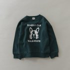 【ブランシェス/branshes / KIDS】の【DRC/裏起毛】アソートグラフィックトレーナー 人気、トレンドファッション・服の通販 founy(ファニー) ファッション Fashion キッズファッション Fashion for Kids おすすめ Recommended / Our Picks トレーナー Sweatshirt, Trainer プチプライス・低価格 Affordable / Budget Price ボーイズ Boyish, Boy Style A/W・秋冬 Autumn/Winter thumbnail 92_グリーンDOG|ID: prp329100004761414 ipo3291000000034612490