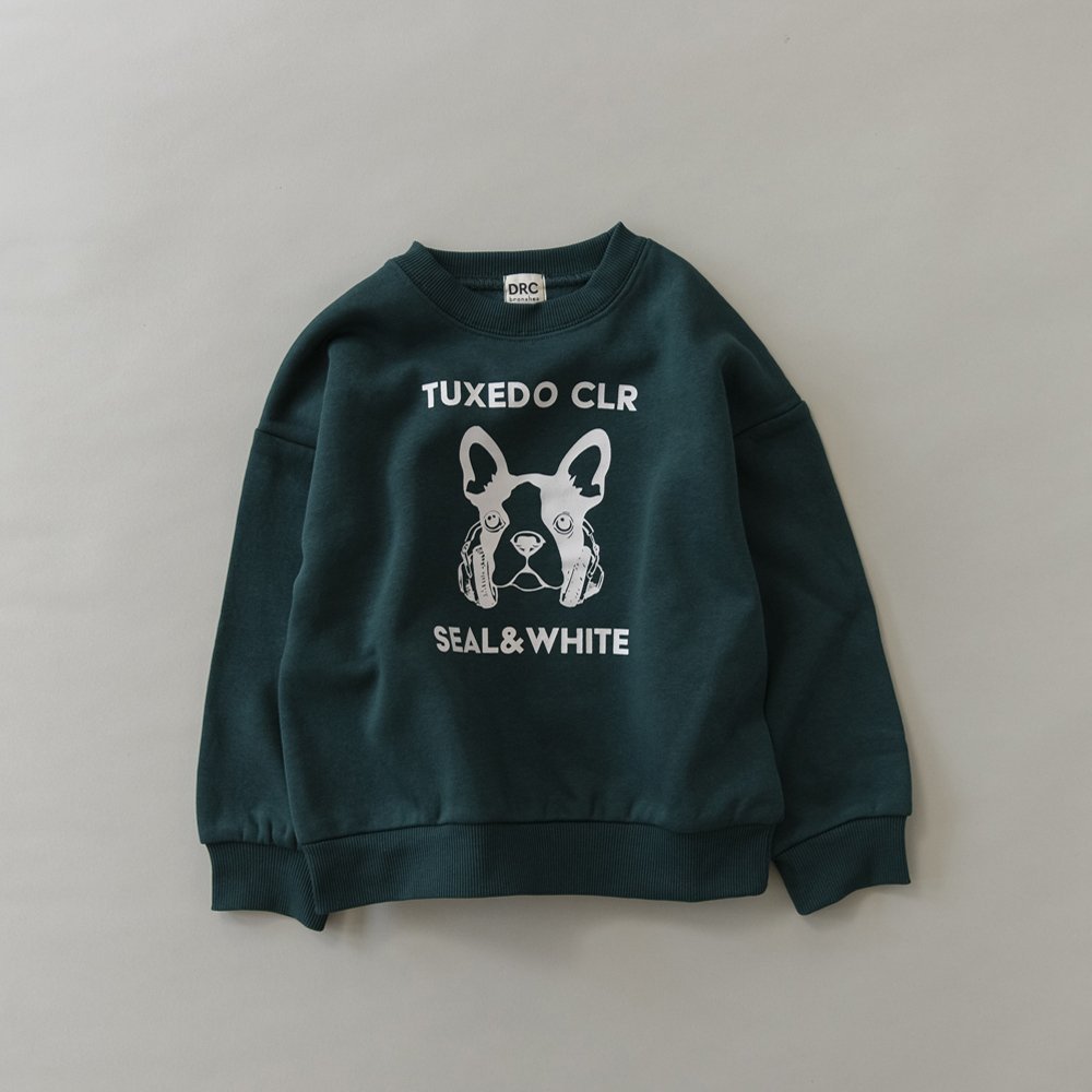 【ブランシェス/branshes / KIDS】の【DRC/裏起毛】アソートグラフィックトレーナー インテリア・キッズ・メンズ・レディースファッション・服の通販 founy(ファニー) 　ファッション　Fashion　キッズファッション　Fashion for Kids　おすすめ　Recommended / Our Picks　トレーナー　Sweatshirt, Trainer　プチプライス・低価格　Affordable / Budget Price　ボーイズ　Boyish, Boy Style　A/W・秋冬　Autumn/Winter　92_グリーンDOG|ID: prp329100004761414 ipo3291000000034612490