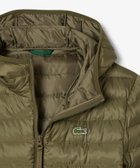 【ラコステ/LACOSTE / MEN】の撥水キルテッドパフジャケット 人気、トレンドファッション・服の通販 founy(ファニー) ファッション Fashion メンズファッション Fashion for Men 軽量 Lightweight, Ultra Light thumbnail オリーブ|ID: prp329100004761541 ipo3291000000034722976