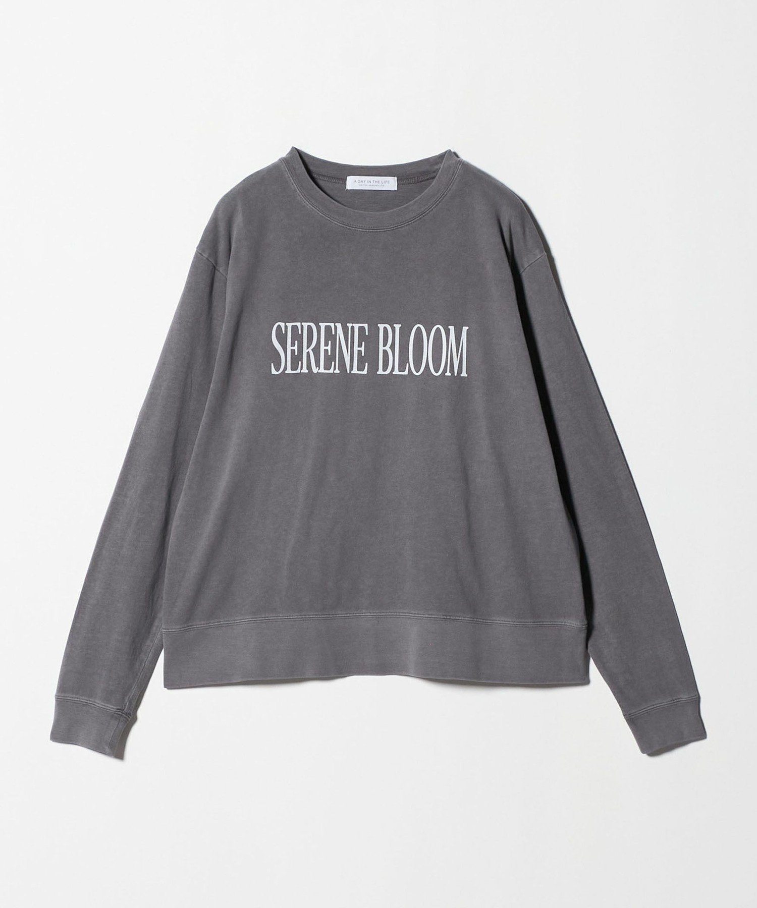 【ユナイテッドアローズ/UNITED ARROWS】のピグメントロゴ ロングスリーブTシャツ A DAY IN THE LIFE インテリア・キッズ・メンズ・レディースファッション・服の通販 founy(ファニー) 　ファッション　Fashion　レディースファッション　Fashion for Women　トップス・カットソー　Cut & Sew Tops　シャツ・ブラウス・オフィスカジュアル　Elegant Blouses & Button-Ups　ロングTシャツ・Tシャツ　Longline T-Shirts & Tees　インナー　Innerwear　ヴィンテージ　Vintage Style　ジャケット　Jacket, Outerwear　スリーブ　Sleeve, Long Sleeve / Short Sleeve　トレンド　Trend, Trending Now　バランス　Balance, Style Balance　ロング　Long, Long-Length　アウトレット　Outlet / Clearance　おすすめ　Recommended / Our Picks　ビジネス 仕事 通勤　Business / Work / Commuting　DK.GRAY|ID: prp329100004763170 ipo3291000000034631189