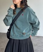 【シーピーシーエム/CPCM】の【U.S. POLO ASSN. 】裏起毛パウダースウェット 人気、トレンドファッション・服の通販 founy(ファニー) ファッション Fashion レディースファッション Fashion for Women トップス・カットソー Cut & Sew Tops レディースパーカー・カジュアルフーディー Casual Hoodies & Sweatshirts スウェット・クルーネックトップス Sweatshirts & Crewnecks / Relaxed Fit Sweat Tops イタリア Italy 腕時計 Wristwatch コレクション Collection, Seasonal Line コンパクト Compact, Small Size シンプル Simple, Minimal スウェット / スエット Sweatshirt, Sweatwear デニム Denim, Jeans Material パウダー Powder, Soft Tone メンズ Men's, Menswear リラックス Relax, Relaxed Fit ロング Long, Long-Length 冬 Winter / This Winter thumbnail グリーン|ID: prp329100004764984 ipo3291000000034497026