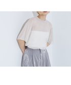 【ノミネ/NOMINE】のチュールTシャツ 人気、トレンドファッション・服の通販 founy(ファニー) ファッション Fashion レディースファッション Fashion for Women トップス・カットソー Cut & Sew Tops シャツ・ブラウス・オフィスカジュアル Elegant Blouses & Button-Ups ロングTシャツ・Tシャツ Longline T-Shirts & Tees インナー Innerwear シアー Sheer, See-Through シンプル Simple, Minimal タンク Tank Top, Sleeveless Top チュール Tulip, Tulip Motif 今季 This Season, Current Season 無地 Plain, Solid Color thumbnail アイボリー|ID: prp329100004765161 ipo3291000000034498815