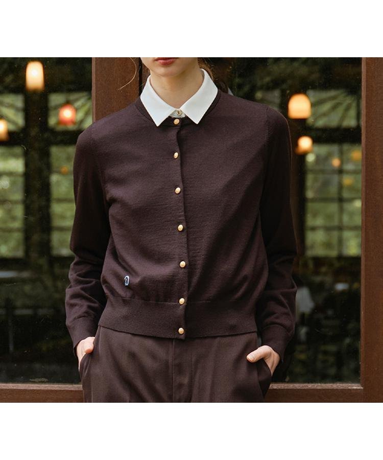 【ドレステリア/DRESSTERIOR】のウォッシャブルファインウールカーディガン インテリア・キッズ・メンズ・レディースファッション・服の通販 founy(ファニー) 　ファッション　Fashion　レディースファッション　Fashion for Women　トップス・カットソー　Cut & Sew Tops　カーディガン・羽織り　Layered Style Cardigans　カーディガン　Cardigan, Knitwear　クラシカル　Classical, Vintage-Inspired　コンパクト　Compact, Small Size　シルク　Silk, 100% Silk　スマート　Smart, Elegant　ドレス　Dress, One-Piece　おすすめ　Recommended / Our Picks　2025年　2025　2025-2026秋冬・A/W　Autumn/Winter 2025–26 AW25–26　ブラウン|ID: prp329100004771958 ipo3291000000034572539