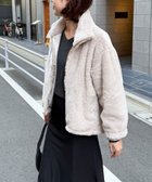 【ドゥ アルシーヴ/Doux archives】のスタンドファーブルゾン 人気、トレンドファッション・服の通販 founy(ファニー) ファッション Fashion レディースファッション Fashion for Women アウター Coat / Outerwear Collection ブルゾンジャケット・スポーティアウター Blouson Jackets トレンド Trend, Trending Now ブルゾン Blouson, Bomber Jacket thumbnail GREIGE|ID: prp329100004773135 ipo3291000000034585959