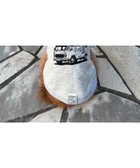 【チャオパニックティピー/CIAOPANIC TYPY】の【一部店舗限定】【DOD】【ドッグウェア】クルマノタビッティー グレー|ID: prp329100004774070 ipo3291000000034601454