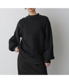 【ナノ ユニバース/nano universe】の「STEVELOUR」フラッフィースタンドプルオーバー 人気、トレンドファッション・服の通販 founy(ファニー) ファッション Fashion レディースファッション Fashion for Women トップス・カットソー Cut & Sew Tops カジュアルプルオーバー・ニットトップス Pullovers & Knit Tops / Casual Pullovers ベロアトップス Velour Tops / Velvet-Look Items ウォッシャブル Machine Washable 秋 Autumn 今季 This Season, Current Season シンプル Simple, Minimal スタンド Stand Collar, Upright Stand デニム Denim, Jeans Material フェミニン Feminine, Girly フォルム Silhouette, Form ベロア Velour, Soft Velvet モダン Modern, Contemporary A/W・秋冬 Autumn/Winter 2025年 2025 2025-2026秋冬・A/W Autumn/Winter 2025–26 AW25–26 thumbnail ブラック|ID: prp329100004776426 ipo3291000000034626517