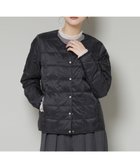 【ナノ ユニバース/nano universe】のTAION/クルーネックボタンダウンジャケット 人気、トレンドファッション・服の通販 founy(ファニー) ファッション Fashion レディースファッション Fashion for Women アウター Coat / Outerwear Collection レディースジャケット・軽アウター Jackets アウトドア Outdoor Clothing インナー Innerwear ウォッシャブル Machine Washable キルティング Quilted, Quilting シェイプ Shape, Slim Fit シンプル Simple, Minimal スタイリッシュ Stylish, Fashionable ダウン Down, Puffer 定番 Standard, Basic Item 人気 Popular, Best Seller パーカー Hoodie, Parka フロント Front, Front Design ベーシック Basic, Essential ポケット Pocket, Pocket Detail 2025年 2025 2025-2026秋冬・A/W Autumn/Winter 2025–26 AW25–26 thumbnail ブラック|ID: prp329100004782181 ipo3291000000034700473