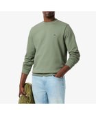 【ラコステ/LACOSTE / MEN】のエッセンシャルクルーネックスウェット 人気、トレンドファッション・服の通販 founy(ファニー) ファッション Fashion メンズファッション Fashion for Men スマート Smart, Elegant トレンド Trend, Trending Now 吸水 Absorbent, Quick-Dry thumbnail セージグリーン|ID: prp329100004782923 ipo3291000000034708322