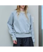 【メゾンスペシャル/MAISON SPECIAL】のSheer Neck Sweatshirt 人気、トレンドファッション・服の通販 founy(ファニー) ファッション Fashion レディースファッション Fashion for Women トップス・カットソー Cut & Sew Tops シャツ・ブラウス・オフィスカジュアル Elegant Blouses & Button-Ups レディースパーカー・カジュアルフーディー Casual Hoodies & Sweatshirts ロングTシャツ・Tシャツ Longline T-Shirts & Tees スウェット・クルーネックトップス Sweatshirts & Crewnecks / Relaxed Fit Sweat Tops シアー Sheer, See-Through シンプル Simple, Minimal スウェット / スエット Sweatshirt, Sweatwear ドッキング Docking, Mixed Material ベーシック Basic, Essential 春 Spring 秋 Autumn thumbnail GRY|ID: prp329100004784489 ipo3291000000035050358