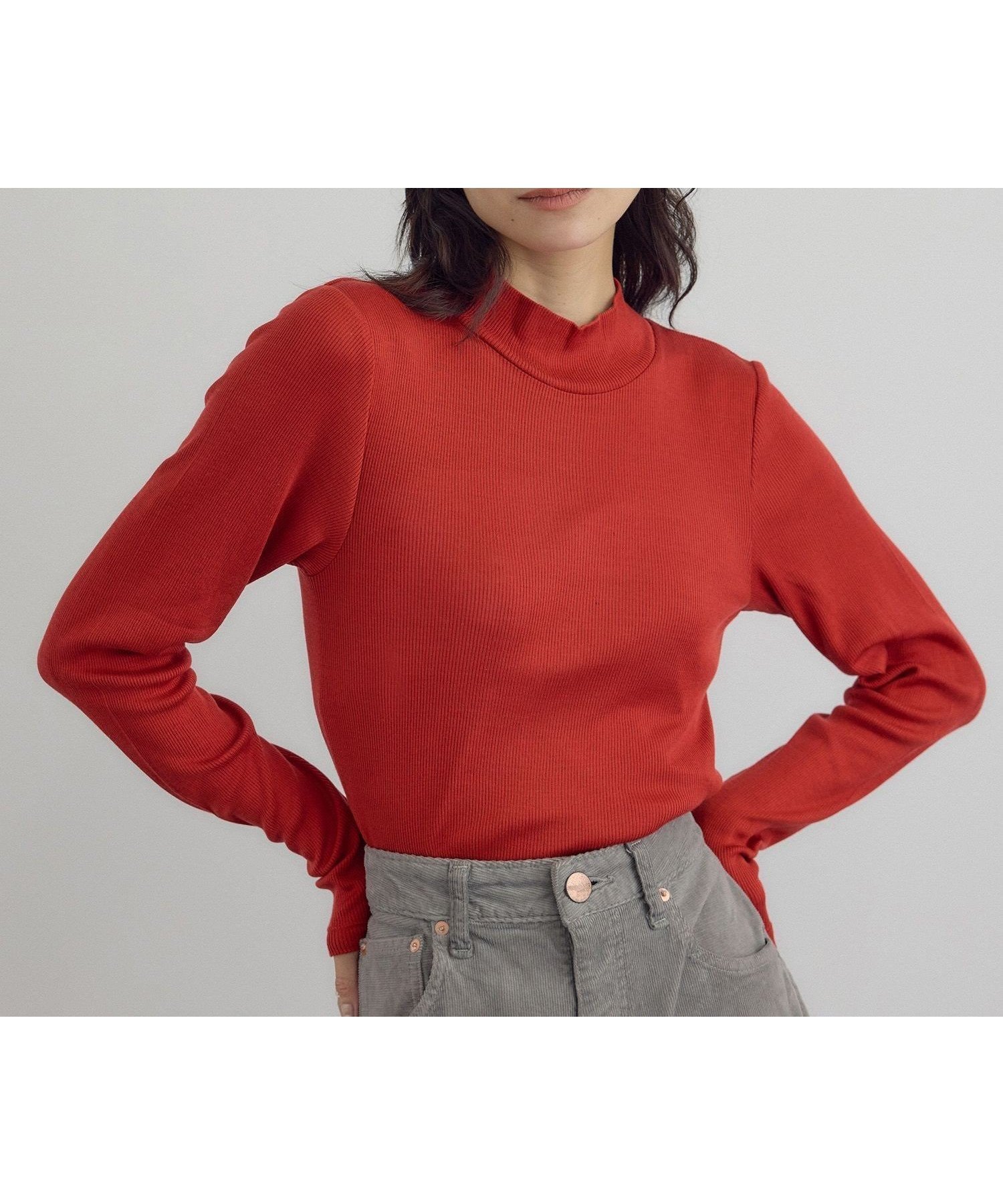 【サロン アダム エ ロペ/SALON adam et rope'】のHug Silkハイネックプルオーバー インテリア・キッズ・メンズ・レディースファッション・服の通販 founy(ファニー) 　ファッション　Fashion　レディースファッション　Fashion for Women　トップス・カットソー　Cut & Sew Tops　カジュアルプルオーバー・ニットトップス　Pullovers & Knit Tops / Casual Pullovers　インナー　Innerwear　春　Spring　シルク　Silk, 100% Silk　スリーブ　Sleeve, Long Sleeve / Short Sleeve　ハイネック　High Neck, Mock Neck　フィット　Fit, Slim Fit　ベーシック　Basic, Essential　ボトム　Bottoms, Lower Wear　ポケット　Pocket, Pocket Detail　リラックス　Relax, Relaxed Fit　ロング　Long, Long-Length　ワイド　Wide, Wide Fit　A/W・秋冬　Autumn/Winter　S/S・春夏　SS, Spring/Summer, Warm Season　夏　Summer　エレガント 上品　Elegant　レッド(60)|ID: prp329100004785081 ipo3291000000035144772