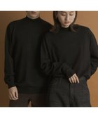 【センスオブプレイス/SENSE OF PLACE by URBAN RESEARCH / MEN】の『一部WEB限定カラー』『洗濯可/毛玉防止』ストレッチモックネックニット BLACK|ID: prp329100004787261 ipo3291000000034746692