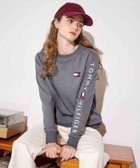 【トミーヒルフィガー/TOMMY HILFIGER】の【オンライン限定】フレンチテリー ロゴ ロングスリーブスウェット 人気、トレンドファッション・服の通販 founy(ファニー) ファッション Fashion レディースファッション Fashion for Women トップス・カットソー Cut & Sew Tops レディースパーカー・カジュアルフーディー Casual Hoodies & Sweatshirts スウェット・クルーネックトップス Sweatshirts & Crewnecks / Relaxed Fit Sweat Tops アメリカン American Style インナー Innerwear クラシック Classic, Timeless Style クール Cool, Chic シンプル Simple, Minimal ジーンズ Jeans, Denim Pants スウェット / スエット Sweatshirt, Sweatwear スニーカー Sneakers, Trainers ツイスト Tweed, Tweed Fabric デニム Denim, Jeans Material トレーナー Sweatshirt, Trainer 人気 Popular, Best Seller 長袖 Long Sleeve, Full Sleeve フレンチ French, French Style モダン Modern, Contemporary ロング Long, Long-Length おすすめ Recommended / Our Picks ゴルフ Golf thumbnail グレー021|ID: prp329100004790656 ipo3291000000034762809