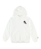 【ルーキー/ROOKIE / KIDS】のジュニア(130-170cm) トレーナー/パーカー JORDAN(ジョーダン) JDB AIR JORDAN HAS LANDED PO WHITE|ID: prp329100004792712 ipo3291000000034983263