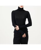 【シビラ/SYBILLA】のハイネックウールカットソー 人気、トレンドファッション・服の通販 founy(ファニー) ファッション Fashion レディースファッション Fashion for Women トップス・カットソー Cut & Sew Tops カットソー・ベーシックTシャツ Cut-and-Sewn Tops / Stretch Tees & Basics インナー Innerwear コンパクト Compact, Small Size シンプル Simple, Minimal スマート Smart, Elegant タートルネック Turtleneck, High Neck フィット Fit, Slim Fit 人気 Popular, Best Seller 定番 Standard, Basic Item A/W・秋冬 Autumn/Winter thumbnail ブラック|ID: prp329100004794356 ipo3291000000035173721