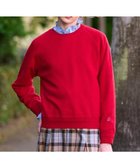 【ドレステリア/DRESSTERIOR】の【CLASSY.12月号掲載/洗える/7色展開】ウォッシャブルコットンカシミヤニット レッド|ID: prp329100004794859 ipo3291000000035163263