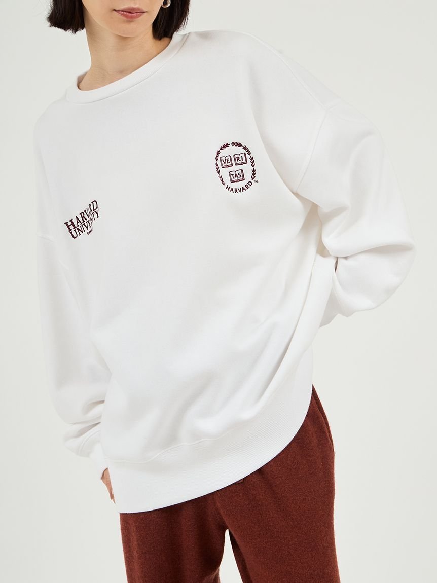 【エミ/emmi】の【emmi×GOOD ROCK SPEED】カレッジワイドボディクルースウェット インテリア・キッズ・メンズ・レディースファッション・服の通販 founy(ファニー) 　ファッション　Fashion　レディースファッション　Fashion for Women　トップス・カットソー　Cut & Sew Tops　レディースパーカー・カジュアルフーディー　Casual Hoodies & Sweatshirts　スウェット・クルーネックトップス　Sweatshirts & Crewnecks / Relaxed Fit Sweat Tops　アイビー　Ivy Pattern　スマート　Smart, Elegant　LGRY[005]|ID: prp329100004795529 ipo3291000000034949067