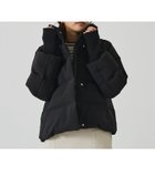 【アバハウスマヴィ/abahouse mavie】の【WEB Domani掲載】袖リブシームレススタンドダウン 人気、トレンドファッション・服の通販 founy(ファニー) ファッション Fashion レディースファッション Fashion for Women トップス・カットソー Cut & Sew Tops おすすめ Recommended / Our Picks インナー Innerwear コンパクト Compact, Small Size スタンド Stand Collar, Upright Stand ストレート Straight, Straight Cut ダウン Down, Puffer エレガント 上品 Elegant 人気 Popular, Best Seller ビジネス 仕事 通勤 Business / Work / Commuting 防寒 Cold Protection, Winter-Ready 雑誌 Magazine, Fashion Magazine thumbnail ブラック|ID: prp329100004796485 ipo3291000000034869884