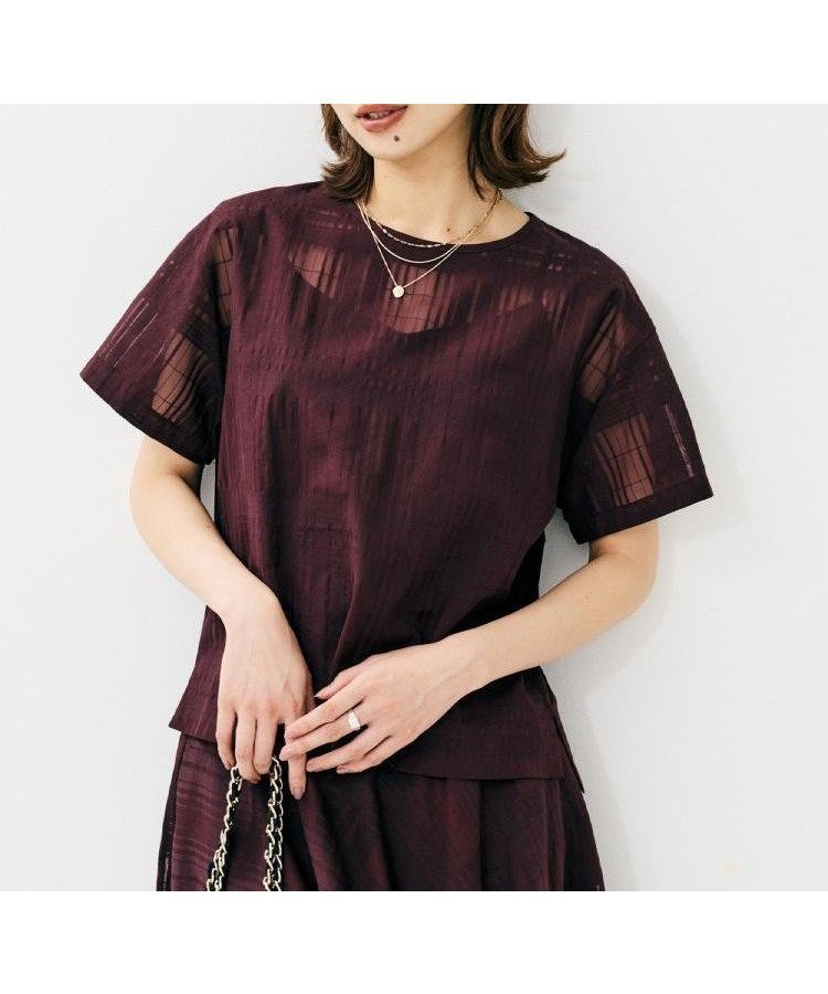 【アンタイトル/UNTITLED】の【セットアップ可/エレガント】シアーチェックTブラウス インテリア・キッズ・メンズ・レディースファッション・服の通販 founy(ファニー) 　ファッション　Fashion　レディースファッション　Fashion for Women　トップス・カットソー　Cut & Sew Tops　シャツ・ブラウス・オフィスカジュアル　Elegant Blouses & Button-Ups　おすすめ　Recommended / Our Picks　エレガント 上品　Elegant　シアー　Sheer, See-Through　シンプル　Simple, Minimal　スマート　Smart, Elegant　スリット　Slit, Slit Detail　セットアップ　Set-Up, Coordinated Outfit　チェック　Check, Plaid, Tartan　デニム　Denim, Jeans Material　ビンテージ　Vintage, Retro Style　ボトム　Bottoms, Lower Wear　パープル|ID: prp329100004796759 ipo3291000000034802451