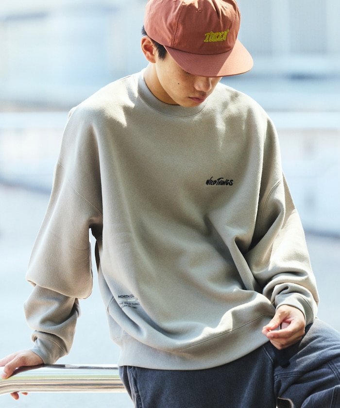 【フリークスストア/FREAK'S STORE】のWILD THINGS×FREAK S STORE 別注 ビッグシルエット マルチプリントデザイン クルーネックスウェット 【限定展開】 25AW インテリア・キッズ・メンズ・レディースファッション・服の通販 founy(ファニー) 　ファッション　Fashion　メンズファッション　Fashion for Men　アウトドア　Outdoor Clothing　ヴィンテージ　Vintage Style　カーゴパンツ　Cargo Pants, Utility Pants　シンプル　Simple, Minimal　スウェット / スエット　Sweatshirt, Sweatwear　スラックス　Slacks, Dress Pants　デニム　Denim, Jeans Material　トレンド　Trend, Trending Now　定番　Standard, Basic Item　人気　Popular, Best Seller　ビッグ　Big, Oversized　フロント　Front, Front Design　プリント　Print, Printed Pattern　ボトム　Bottoms, Lower Wear　別注　Limited Edition, Custom Order　ワイド　Wide, Wide Fit　ワンポイント　One Point, Statement Accent　A/W・秋冬　Autumn/Winter　冬　Winter / This Winter　おすすめ　Recommended / Our Picks　2025年　2025　2025-2026秋冬・A/W　Autumn/Winter 2025–26 AW25–26　グレージュ|ID: prp329100004798097 ipo3291000000035118893