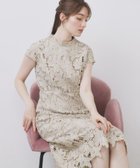 【インデックス/INDEX】のバイカラーレースワンピース【洗濯機洗い可】 人気、トレンドファッション・服の通販 founy(ファニー) ファッション Fashion レディースファッション Fashion for Women ワンピース Dresses サテン Satin, Glossy Fabric スマート Smart, Elegant スリーブ Sleeve, Long Sleeve / Short Sleeve フィット Fit, Slim Fit フラワー Flower, Floral フレア Flare, Flared フレンチ French, French Style ポケット Pocket, Pocket Detail モチーフ Motif, Design Theme レース Lace, Lace Fabric おすすめ Recommended / Our Picks エレガント 上品 Elegant thumbnail グレージュ|ID: prp329100004800741 ipo3291000000035191052