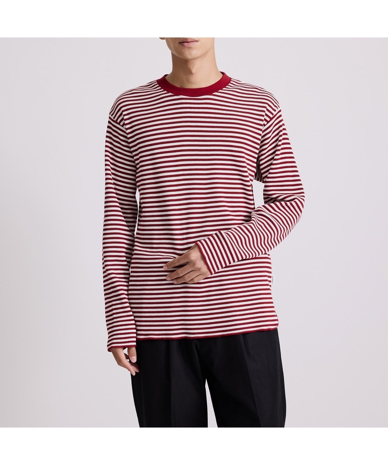 【サタデイズ ニューヨークシティ/SATURDAYS NYC】のRobert P. Miller x Saturdays NYC CVC BD LS インテリア・キッズ・メンズ・レディースファッション・服の通販 founy(ファニー) 　ファッション　Fashion　レディースファッション　Fashion for Women　サーマル　Thermal, Waffle Knit　シンプル　Simple, Minimal　スリーブ　Sleeve, Long Sleeve / Short Sleeve　ボーダー　Border, Stripe　ロング　Long, Long-Length　ワッフル　Waffle, Waffle Knit　定番　Standard, Basic Item　ワイン(66)|ID: prp329100004801328 ipo3291000000034835479