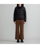 【その他のブランド/Other】のDYONSDUE ripstop 人気、トレンドファッション・服の通販 founy(ファニー) ファッション Fashion メンズファッション Fashion for Men ジャケット Jacket, Outerwear ダウン Down, Puffer フェザー Feather, Feather Detail ベーシック Basic, Essential thumbnail nero|ID: prp329100004801613 ipo3291000000034837395