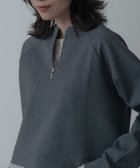 【インディヴィ/INDIVI】のフォルムダンボールトップス チャコールグレー|ID: prp329100004801990 ipo3291000000034839829