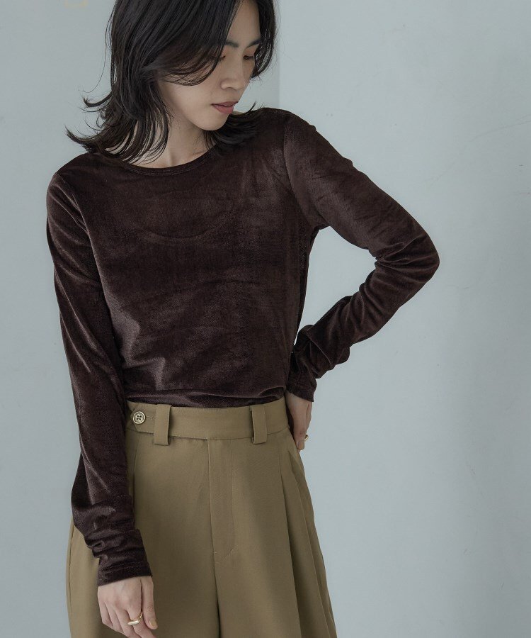 【インディヴィ/INDIVI】のバックカットアウトベロアカットソー インテリア・キッズ・メンズ・レディースファッション・服の通販 founy(ファニー) ファッション Fashion レディースファッション Fashion for Women トップス・カットソー Cut & Sew Tops カットソー・ベーシックTシャツ Cut-and-Sewn Tops / Stretch Tees & Basics ベロアトップス Velour Tops / Velvet-Look Items アクセサリー Fashion Accessories シンプル Simple, Minimal ストレッチ Stretch, Stretchy Fabric ベロア Velour, Soft Velvet ラウンド Round, Round Neck ブラウン|ID: prp329100004802075 ipo3291000000034840460