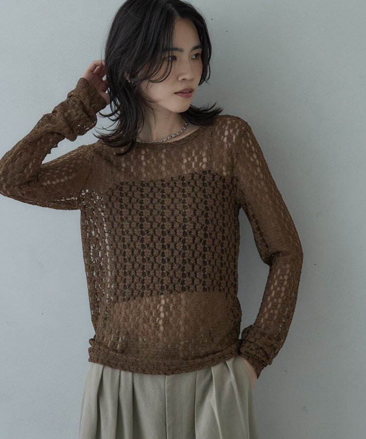 【インディヴィ/INDIVI】のバックカットアウトレースカットソー インテリア・キッズ・メンズ・レディースファッション・服の通販 founy(ファニー) ファッション Fashion レディースファッション Fashion for Women トップス・カットソー Cut & Sew Tops カットソー・ベーシックTシャツ Cut-and-Sewn Tops / Stretch Tees & Basics シンプル Simple, Minimal ラウンド Round, Round Neck レース Lace, Lace Fabric ブラウン|ID: prp329100004802076 ipo3291000000034840468