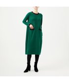 【シビラ/SYBILLA】の配色ラインニットドレス 人気、トレンドファッション・服の通販 founy(ファニー) ファッション Fashion レディースファッション Fashion for Women トップス・カットソー Cut & Sew Tops ニット Knit Tops & Sweaters ワンピース Dresses フォーマル・パーティードレス・結婚式用ドレス Elegant & Casual Dresses おすすめ Recommended / Our Picks ドレス Dress, One-Piece ポケット Pocket, Pocket Detail ラグジュアリー Luxury, Elegant 冬 Winter / This Winter 夏 Summer 春 Spring 秋 Autumn thumbnail グリーン|ID: prp329100004807054 ipo3291000000034882388