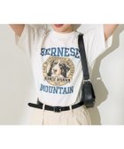 【フリークスストア/FREAK'S STORE】のドッグカレッジTシャツ 25SS 人気、トレンドファッション・服の通販 founy(ファニー) ファッション Fashion レディースファッション Fashion for Women トップス・カットソー Cut & Sew Tops シャツ・ブラウス・オフィスカジュアル Elegant Blouses & Button-Ups ロングTシャツ・Tシャツ Longline T-Shirts & Tees 2025年 2025 2025春夏・S/S Spring/Summer 2025 SS25 おすすめ Recommended / Our Picks インナー Innerwear プリント Print, Printed Pattern 人気 Popular, Best Seller 夏 Summer S/S・春夏 SS, Spring/Summer, Warm Season thumbnail オフホワイト|ID: prp329100004807978 ipo3291000000034890254