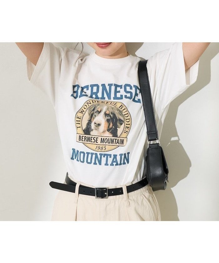 【フリークスストア/FREAK'S STORE】のドッグカレッジTシャツ 25SS インテリア・キッズ・メンズ・レディースファッション・服の通販 founy(ファニー) ファッション Fashion レディースファッション Fashion for Women トップス・カットソー Cut & Sew Tops シャツ・ブラウス・オフィスカジュアル Elegant Blouses & Button-Ups ロングTシャツ・Tシャツ Longline T-Shirts & Tees 2025年 2025 2025春夏・S/S Spring/Summer 2025 SS25 おすすめ Recommended / Our Picks インナー Innerwear プリント Print, Printed Pattern 人気 Popular, Best Seller 夏 Summer S/S・春夏 SS, Spring/Summer, Warm Season オフホワイト|ID: prp329100004807978 ipo3291000000034890254