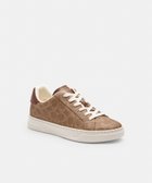 【コーチ/COACH】の【公式】ハイ ライン スニーカー・シグネチャー キャンバス 人気、トレンドファッション・服の通販 founy(ファニー) ファッション Fashion レディースファッション Fashion for Women インソール Shoe Insole キャンバス Canvas, Canvas Fabric クッション Cushion, Throw Pillow クラシック Classic, Timeless Style 軽量 Lightweight, Ultra Light スニーカー Sneakers, Trainers ニューヨーク New York, NYC Style フィット Fit, Slim Fit ラグジュアリー Luxury, Elegant レース Lace, Lace Fabric おすすめ Recommended / Our Picks ギフト プレゼント Gift / Present thumbnail BROWN|ID: prp329100004808249 ipo3291000000034892547