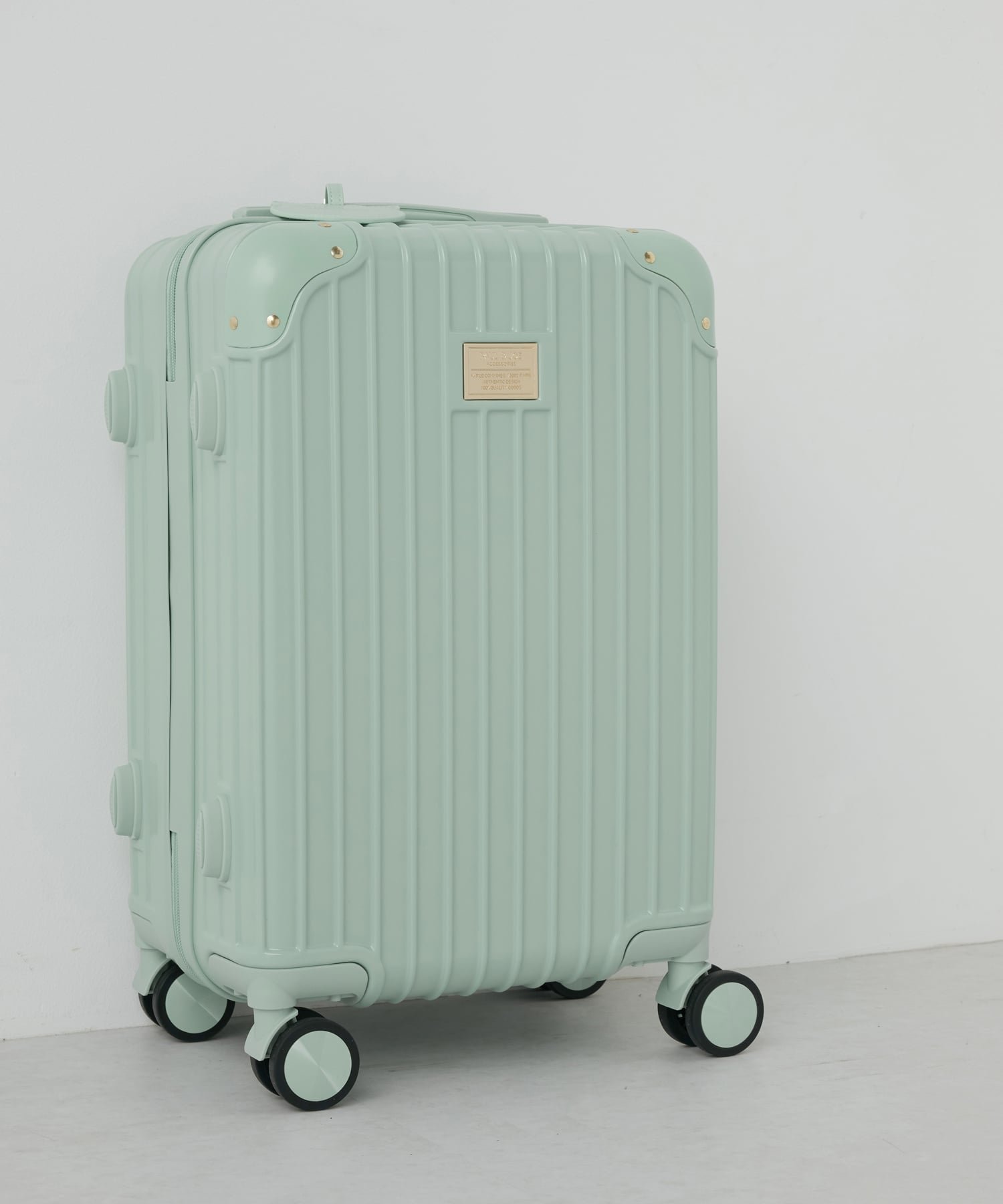 【エルガス/ELGAES】のキャリーケース Sサイズ PJA-T941 機内持ち込みサイズ インテリア・キッズ・メンズ・レディースファッション・服の通販 founy(ファニー) ファッション Fashion レディースファッション Fashion for Women アニマル Animal Print コレクション Collection, Seasonal Line スタイリッシュ Stylish, Fashionable ネコ Cat, Feline Motif 人気 Popular, Best Seller パターン Pattern, Design Print フラワー Flower, Floral ポケット Pocket, Pocket Detail メタル Metal, Metal Parts メッシュ Mesh, Net Fabric モチーフ Motif, Design Theme おすすめ Recommended / Our Picks 旅行 Travel スーツケース キャリーケース Suitcase / Carry Case ミント|ID: prp329100004808934 ipo3291000000034900526