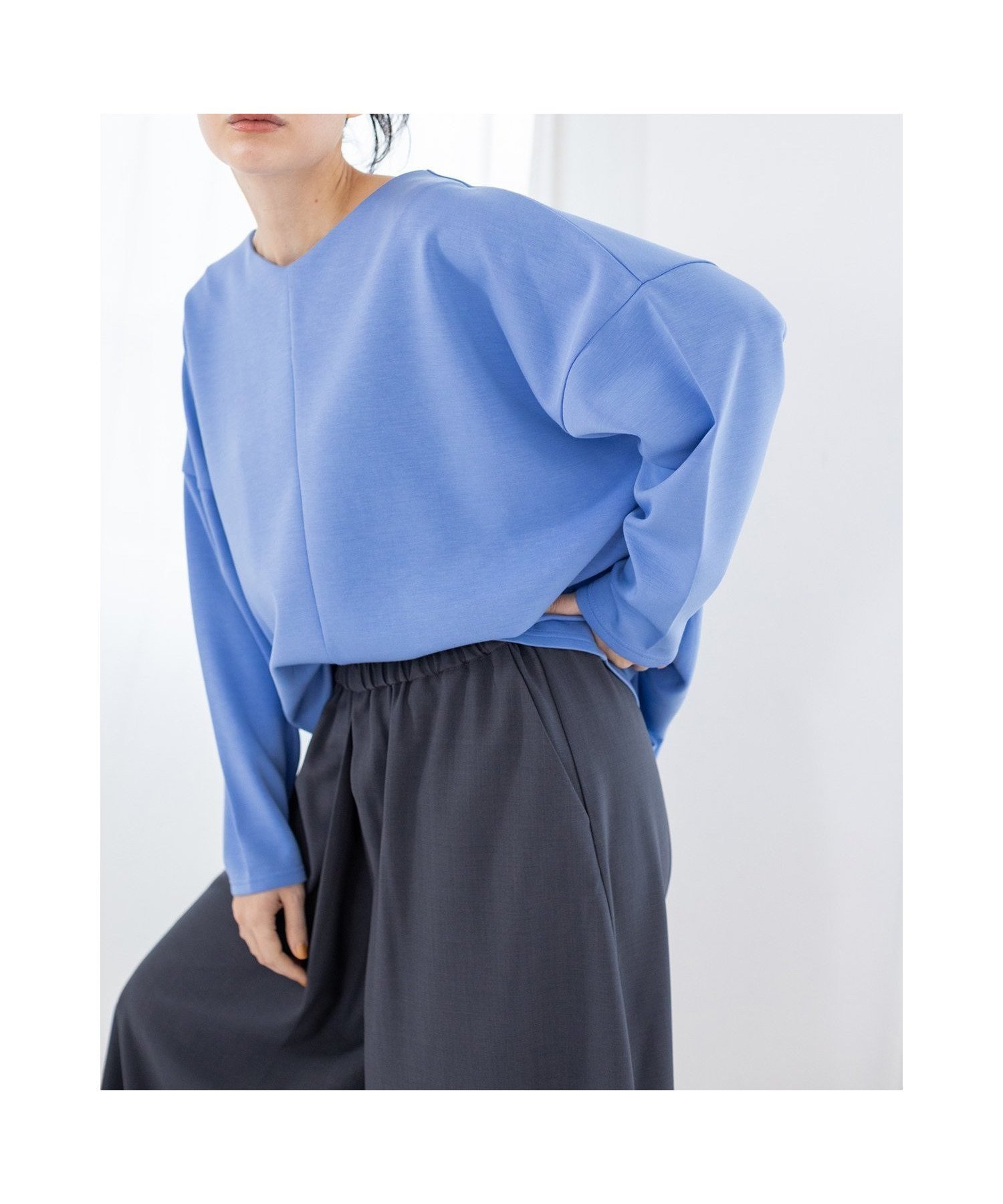 【オズモーシス/OSMOSIS】のバックサイドタックプルオーバー インテリア・キッズ・メンズ・レディースファッション・服の通販 founy(ファニー) ファッション Fashion レディースファッション Fashion for Women トップス・カットソー Cut & Sew Tops カジュアルプルオーバー・ニットトップス Pullovers & Knit Tops / Casual Pullovers バッグ Bags カットソー Cut and Sewn Top ベーシック Basic, Essential エレガント 上品 Elegant 夏 Summer S/S・春夏 SS, Spring/Summer, Warm Season SAX|ID: prp329100004808991 ipo3291000000034901057