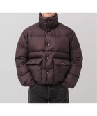 【エディフィス/EDIFICE / MEN】のE. MICRO LIP ダウンブルゾン 人気、トレンドファッション・服の通販 founy(ファニー) ファッション Fashion メンズファッション Fashion for Men コレクション Collection, Seasonal Line 軽量 Lightweight, Ultra Light スマート Smart, Elegant ダウン Down, Puffer ドローコード Drawcord, Drawstring Cord バランス Balance, Style Balance フェザー Feather, Feather Detail ブルゾン Blouson, Bomber Jacket リラックス Relax, Relaxed Fit ワイド Wide, Wide Fit thumbnail ブラウン|ID: prp329100004809078 ipo3291000000034901687